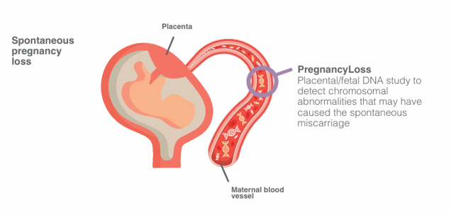 Skjermbilde 2026-02-18 132358